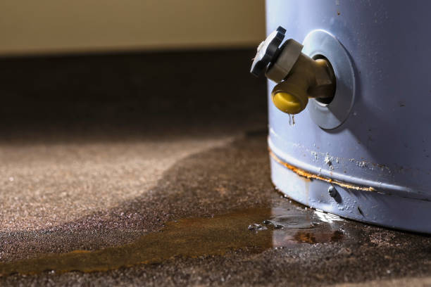 Best Water damage restoration near me  in Paxton, IL