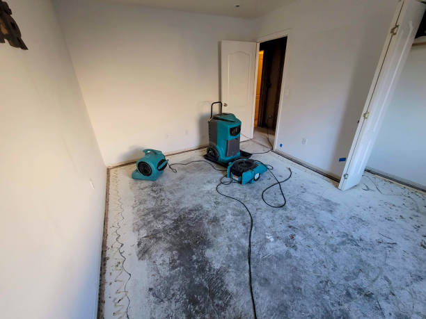 Best Commercial water damage restoration  in Paxton, IL