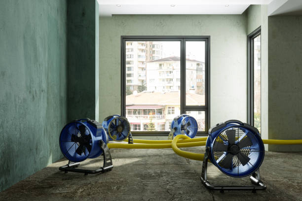 Best Local water damage restoration  in Paxton, IL