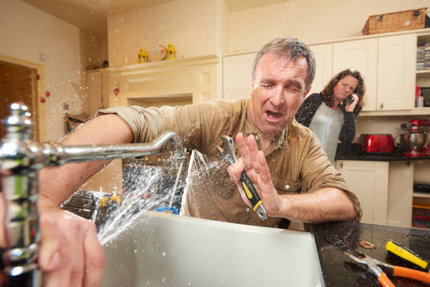 Best Professional water damage repair  in Paxton, IL